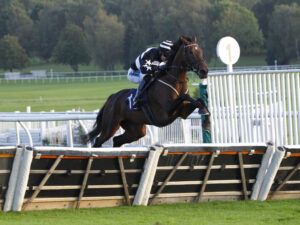 78F9204 Rhiannon Ring