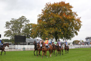 BK1A5406 At the start at Uttoxeter