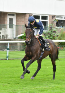 DSC 0092 Eternal Force