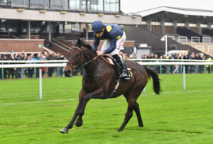 DSC 0107 Eternal Force