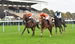 DSC 0124 King Of Thunder