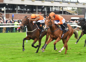 DSC 0126 King Of Thunder