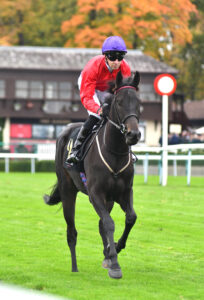 DSC 0147 Splish Splash