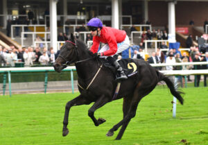 DSC 0165 Splish Splash