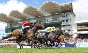 EN4D3489 Beautiful Diamond