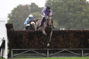 FV1E1356 Kit’s Coly