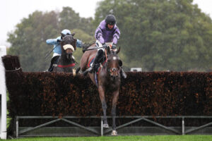 FV1E1357 Kit’s Coly