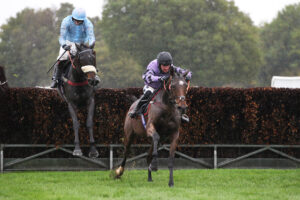 FV1E1361 Kit’s Coly