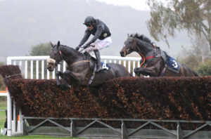 FV1E1478 D’Jo Dela Barriere