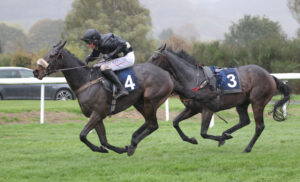 FV1E1490 D’Jo Dela Barriere