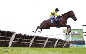 X5B0556 Bouquet De Paris