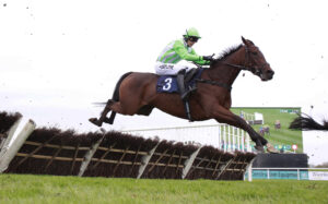 X5B0748 Joyeux Machin