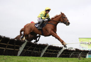 X5B1026 Tranquil Sea