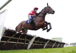 X5B1271 Settle Down Jill