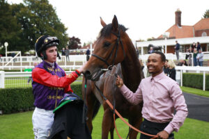 X5B7582 Golden Orbit