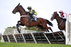 X5B9371 Surrey Quest