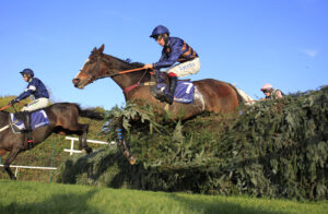 16B2565 Frero Banbou