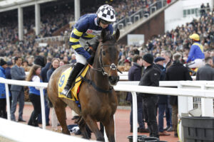 20J0935 Jubilee Alpha