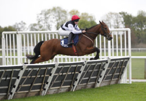 20J1048 Electric Eddy