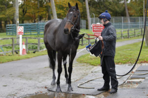 20J2630 Constitution Hill