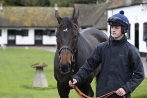 20J2636 Constitution Hill