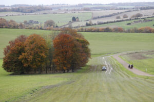 20J2717 Seven Barrows gallops