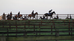 20J2806 Early morning at Olly Murphy’s