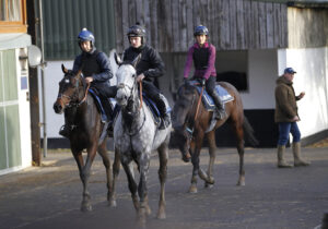 20J3014 Resplendent Grey   Sean Bowen