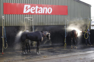 20J3016 Washdown at Olly Murphy’s