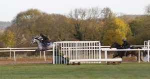 20J3019 Resplendent Grey