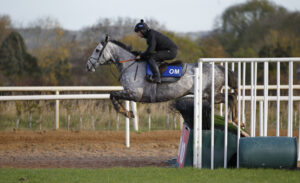 20J3033 Resplendent Grey