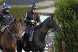 20J3074 Sean Bowen   Strong Leader