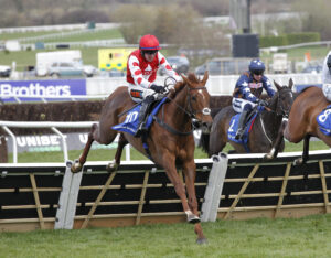 20J3336 Queens Gamble