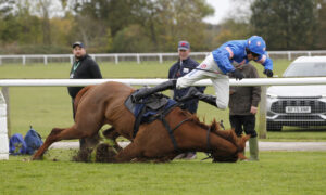 20J3395 First Candidate