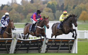 20J3905 Just Golden [right]