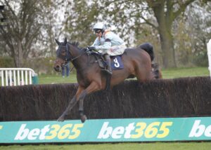 20J3991 Largy Belter