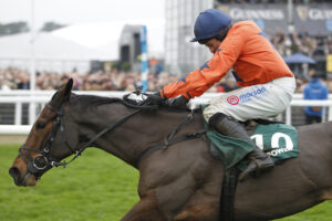 20J5444 Panic Attack