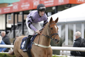 20J6602 Fortune Dancer