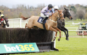 20J6616 Fortune Dancer