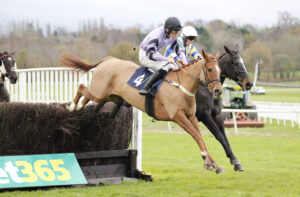 20J6617 Fortune Dancer