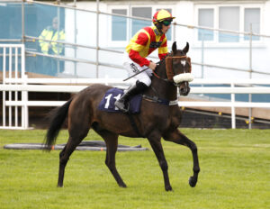 20J8397 Gerard Mentor