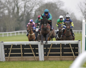 20J9349 Bluey