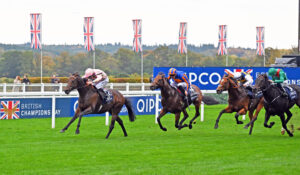 251018 0364 Cicero’s Gift