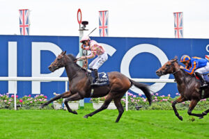 251018 0382 Cicero’s Gift