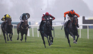 78F3636 Edith Pelham