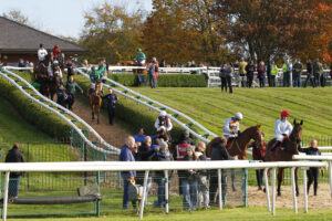 78F3768 Bangor on Dee horsewalk
