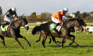 78F6335 Strong Leader