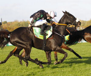 78F6345 Strong Leader