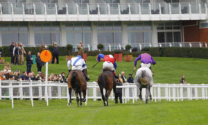 78F6946 Invincible Nao