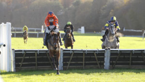 78F8531 Supreme Malinas